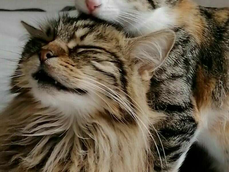 screenshot_20201030_191140