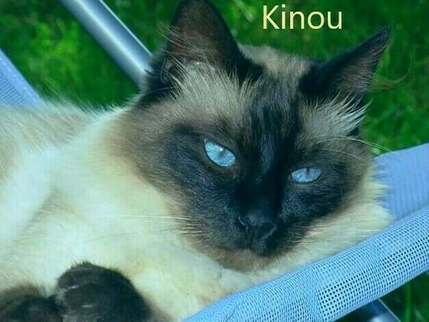 kinou