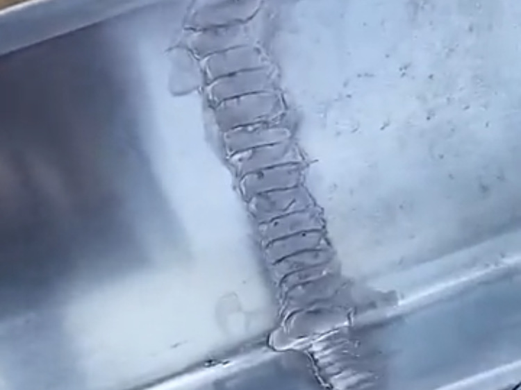 2021-10-1920220810-2732222-1b8upmr