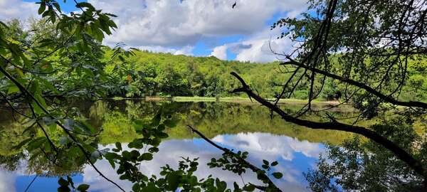 5 pratiques simples pour retrouver vitalité et sérénité dans le Nord-Isère et La Bièvre