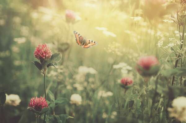 ANNUAIRE DENTAIRE - ORTHODONTISTE - PARIS 18