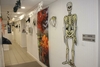 décoration d'halloween dans les couloirs du cabinet dentaire du Mans