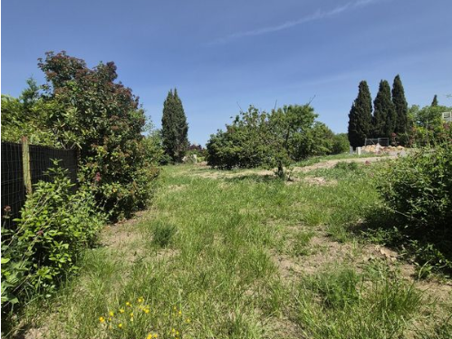 capture_d_ecran_2026-01-09_102916