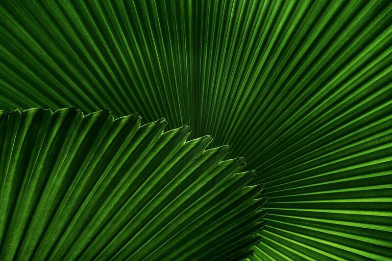 Coaching de vie Essonne – Accompagnement et transformation