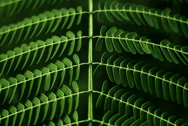 Coaching de vie Essonne – Accompagnement et transformation