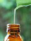 huiles essentielles en naturopathie