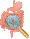 la naturopathie et le microbiote