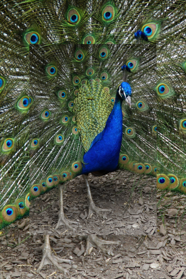  Quittez le chantage de la séduction en 3 étapes