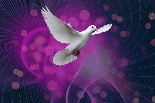 Reiki & Dépendance affective : lever les tabous, retrouver sa liberté émotionnelle