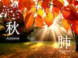 Les exercices de l'automne