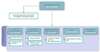 organigramme 5com