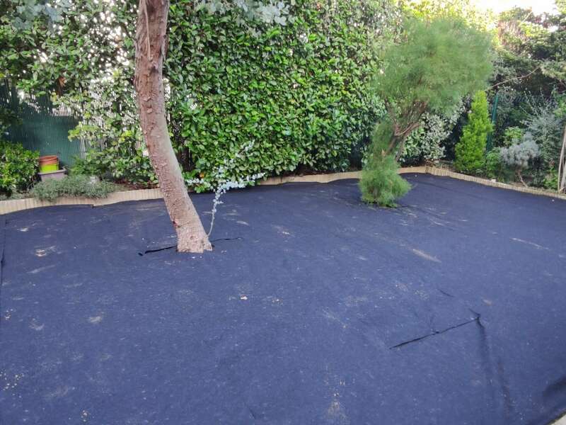 387829297_292957850161052_3144468953326834480_n