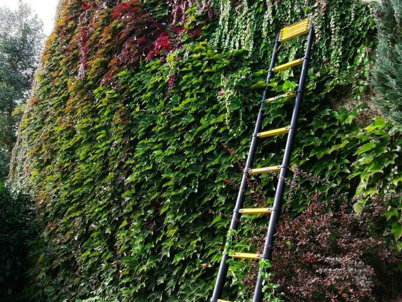 387870241_292958300161007_4028929424122151789_n