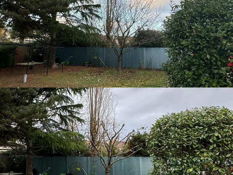 404964388_315489791241191_698018917449781876_n