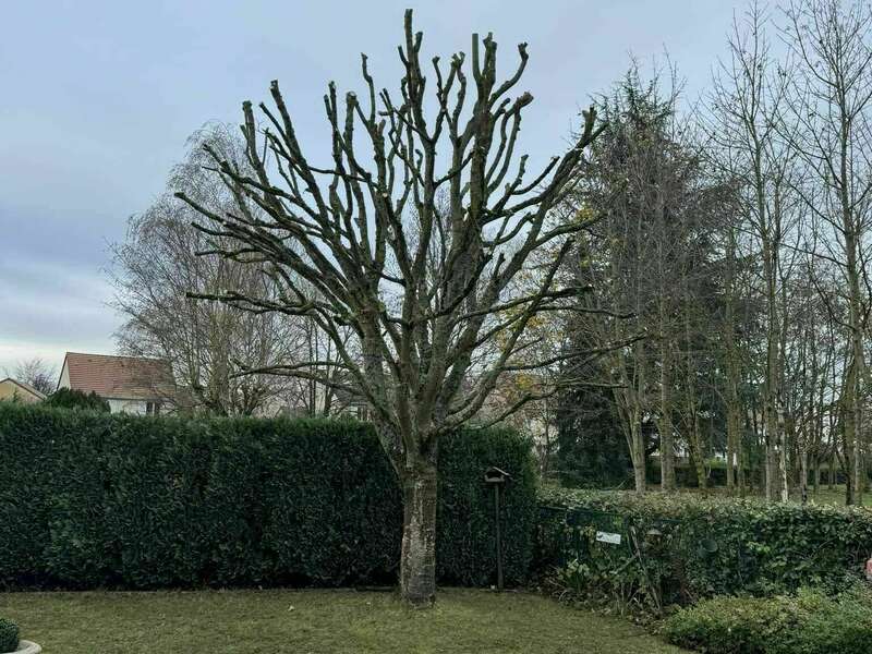 393167991_322271297229707_1217232354946603798_n