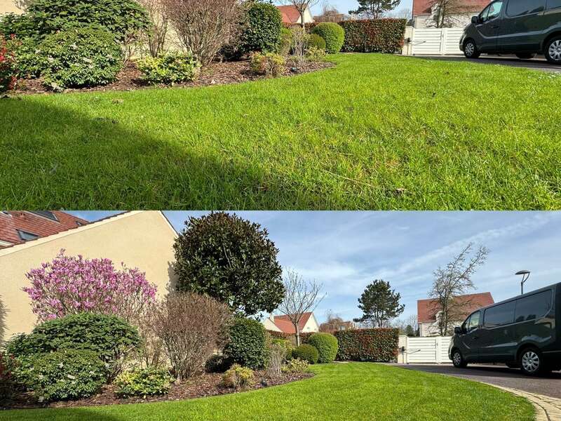 1d040c3d-5c6a-4089-89c9-08f8545deb99