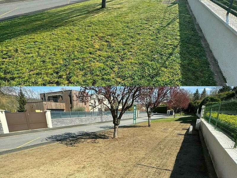 434141893_17867508180088853_7115672921624576210_n