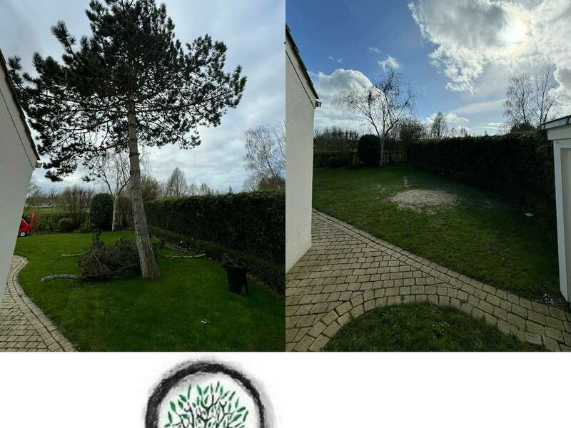 431980799_17866647606088853_6305714123151961159_n