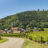 Visite dégustations de vins en Alsace