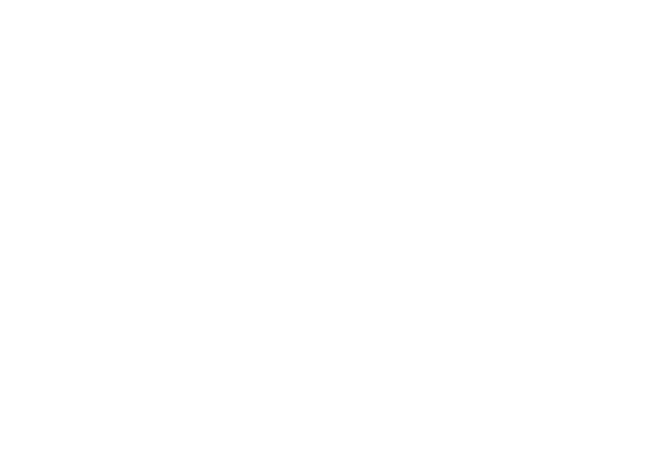 Immo Public Conseil