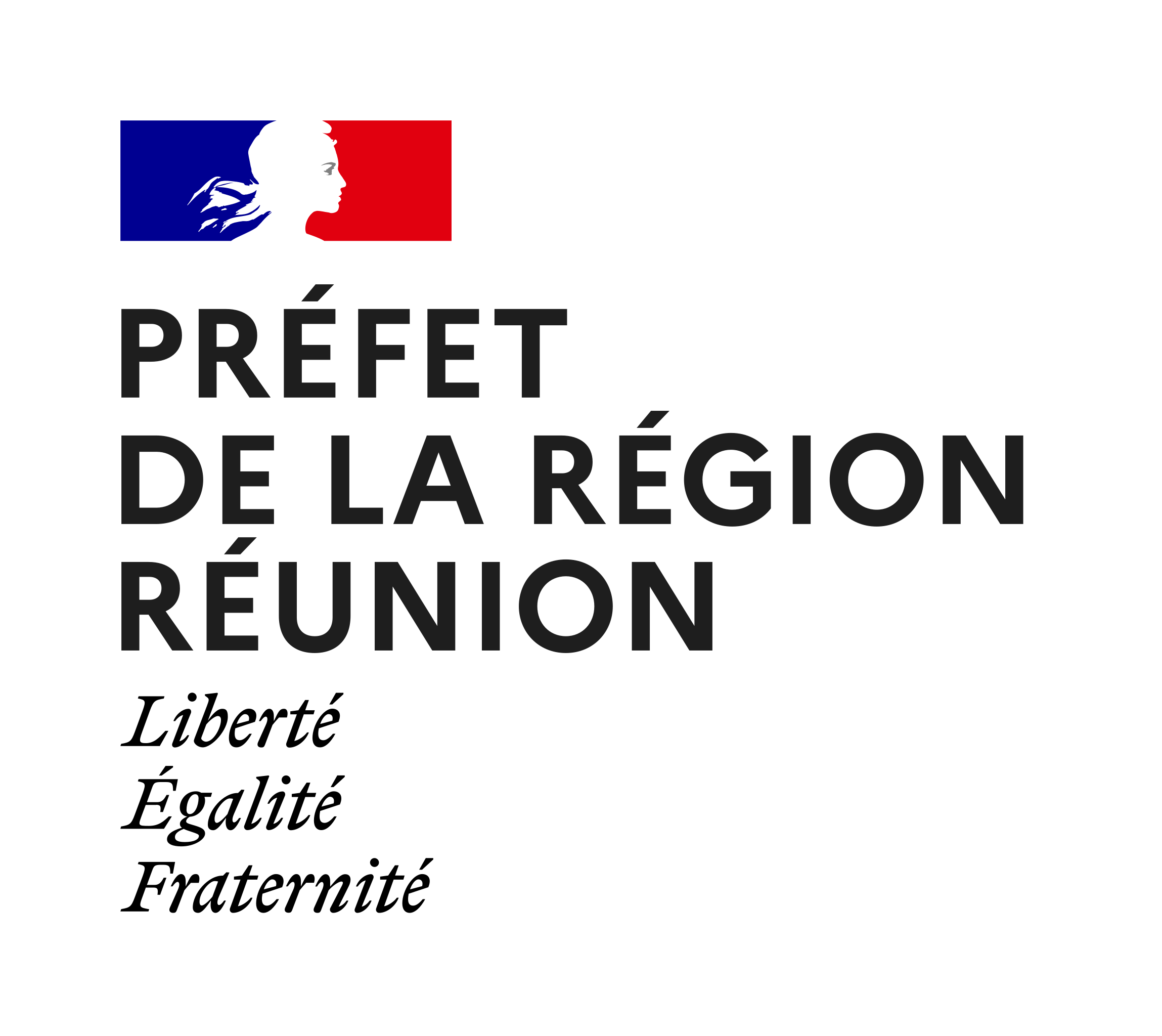 SDIR 2025-2032