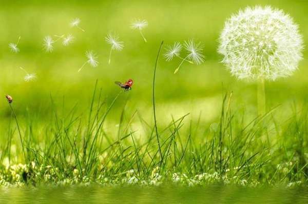 Apprendre à mieux respirer avec la sophrologie