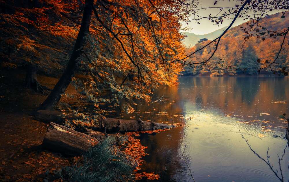 Accueillir l'automne en douceur et bien la vivre avec la sophrologie.