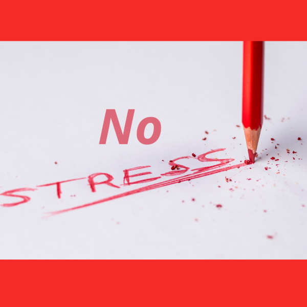 L'Atelier de Novembre 