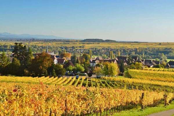 Lancer sa location saisonnière en Alsace : le guide complet pour démarrer