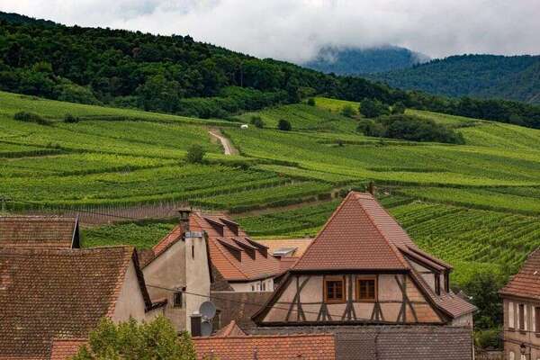 Déléguer sa location saisonnière en Alsace : les vrais avantages d'une conciergerie