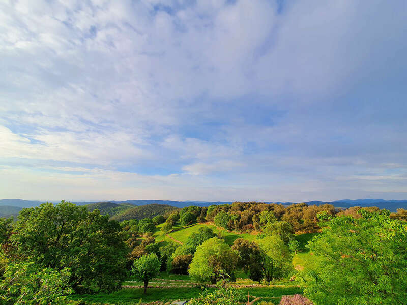 20220503_09554220220805-2136337-qtwblo