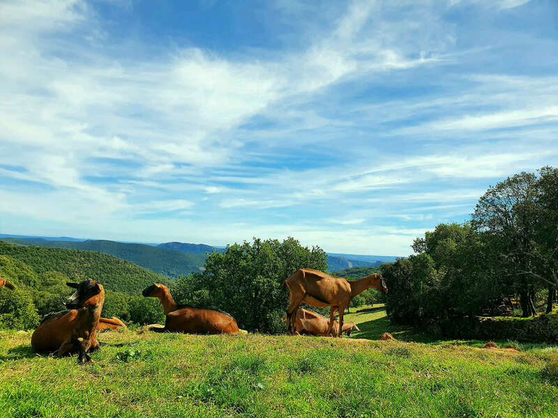 20211008_08305120220805-2136337-19kvxuw