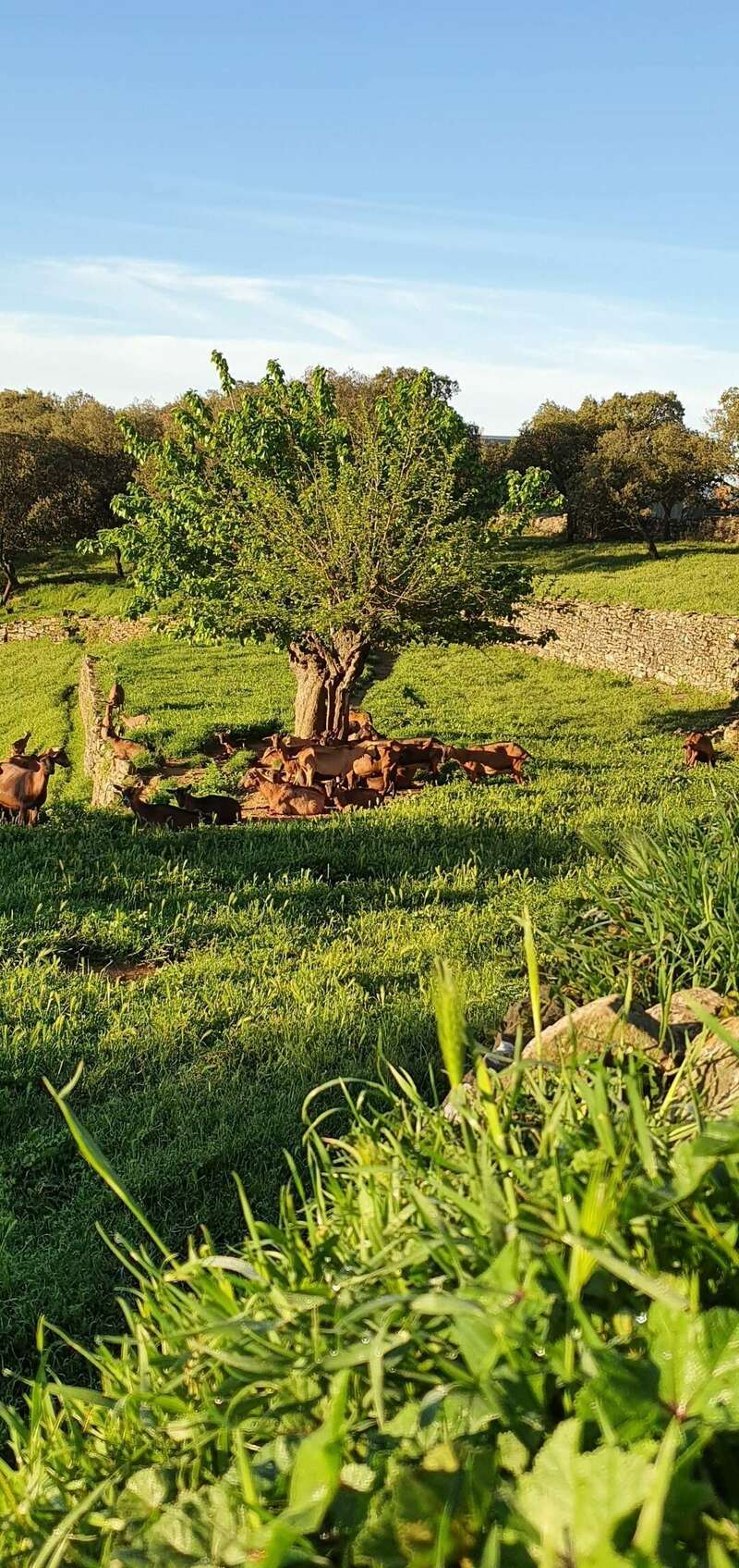 20200504_07304920220805-2136337-bknyec