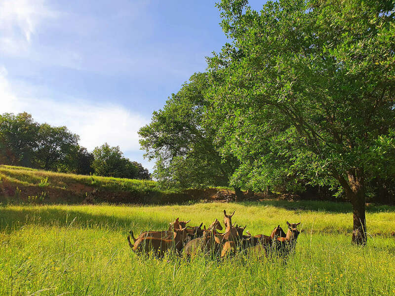 20220514_09514220220805-2136337-1nxbqnk