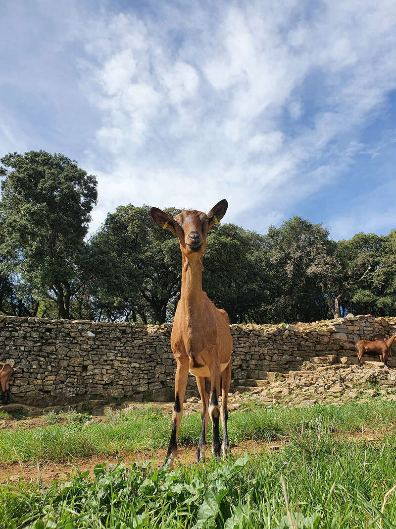 20210930_14181720220805-2136337-rpennv