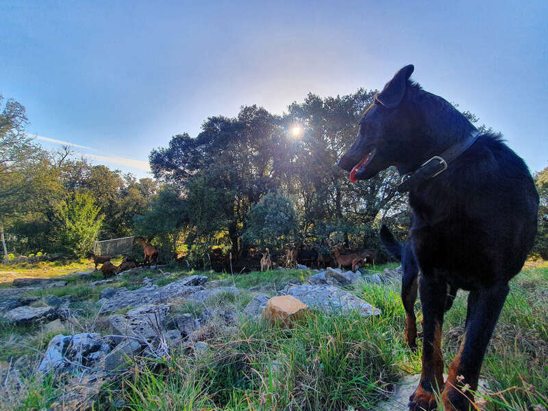 20220222_16030320220805-2136337-p6ztp3