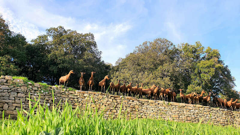 20201117_17324220220805-2136337-1od3un5