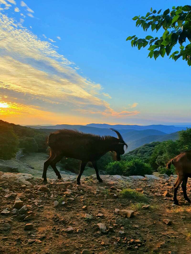 20210907_17434320220805-2136337-1tcdia3