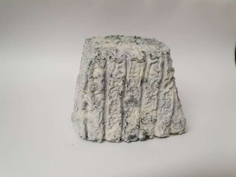 20210409_19075520220805-2136337-6xp90x