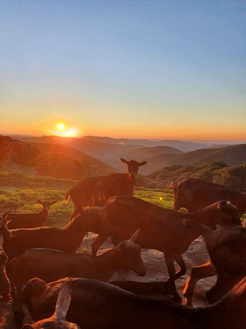 20211017_08125420220805-2136337-amhnjf