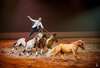 equitation cavaliers voltige douleurs chute osteopathe osteo suresnes athina