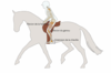 posture muscles cavaliers cheval monture douleur osteo osteopathe