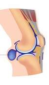 genou derriere kyste poplite douleur flexion osteo osteopathe athina