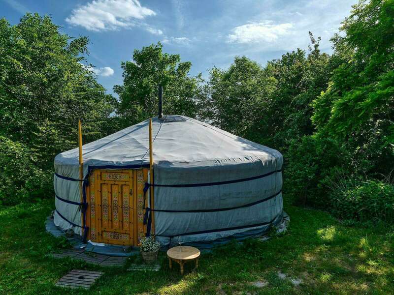 pexels-de-lemster-krant-4562718__1_20221103-3048596-1n8no83