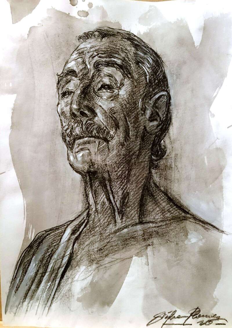 plouvierstephane7
