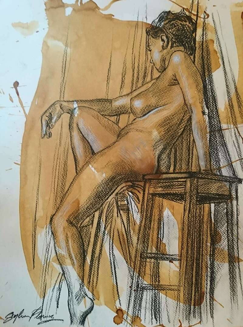 plouvierstephane5