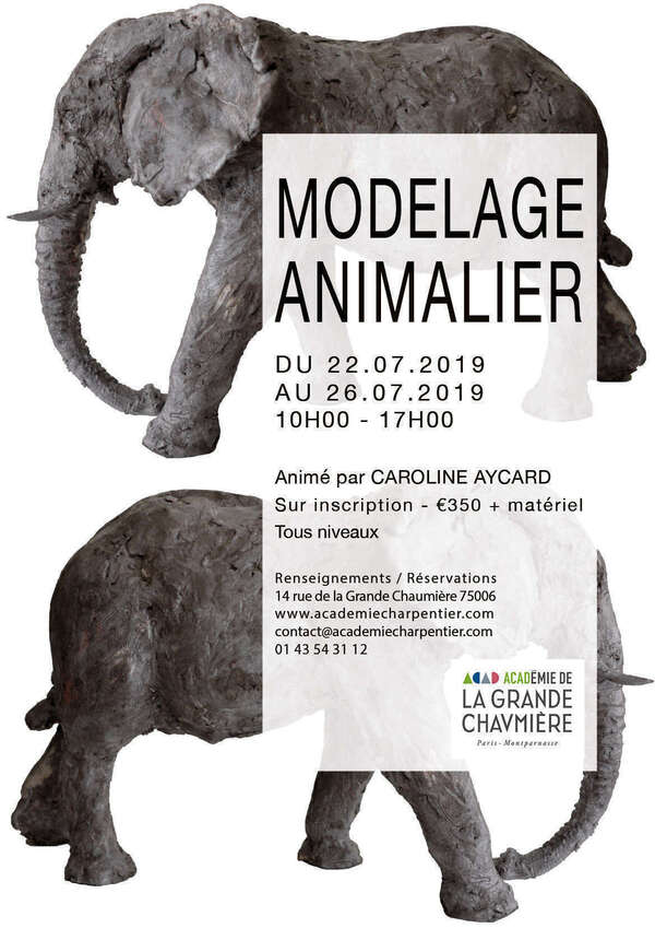 Stage de modelage animalier avec Caroline Aycard