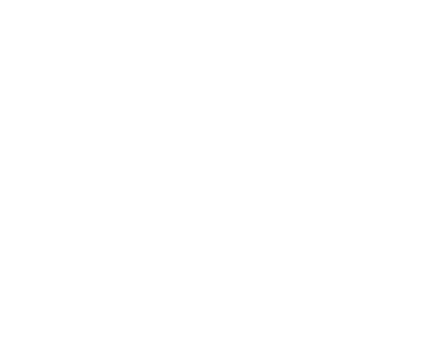 Logo PRIVATE BUSINESS, (P.B.)