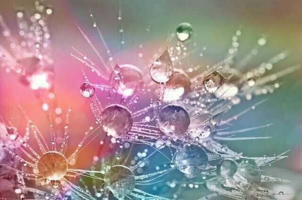 La beauté-thérapie : cultiver votre capacité à voir le beau pour vous faire du bien