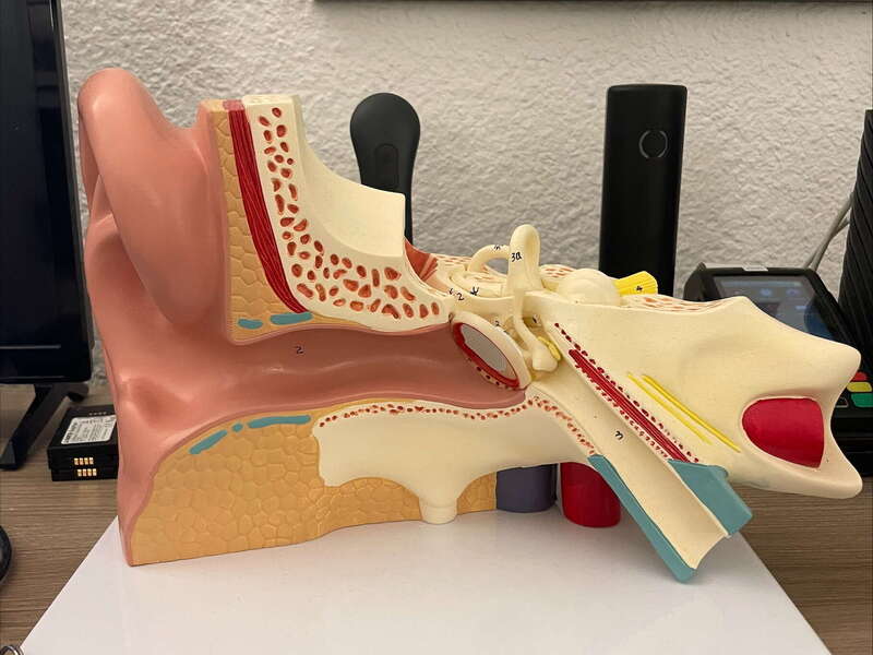 processed-08e72df0-da3e-4a20-a27e-dd03f99aee28